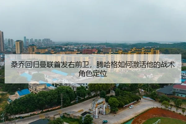 sang-qiao-hui-gui-man-lian-shou-fa-you-qian-wei-teng-ha-ge-ru-he-ji-huo-ta-de-zhan-shu-jue-se-ding-wei-3-714.jpg