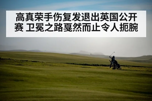 高真荣手伤复发退出英国公开赛 卫冕之路戛然而止令人扼腕