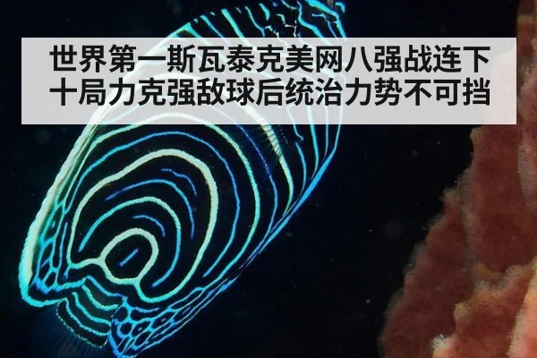 世界第一斯瓦泰克美网八强战连下十局力克强敌球后统治力势不可挡